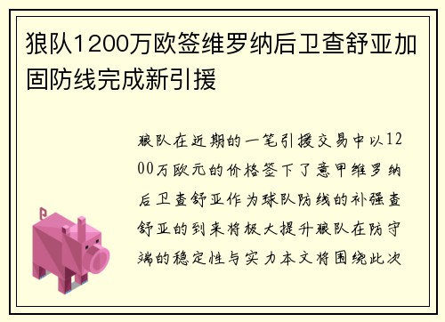 狼队1200万欧签维罗纳后卫查舒亚加固防线完成新引援